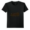 Youth Softstyle ® T Shirt Thumbnail
