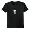 Youth Softstyle ® T Shirt Thumbnail